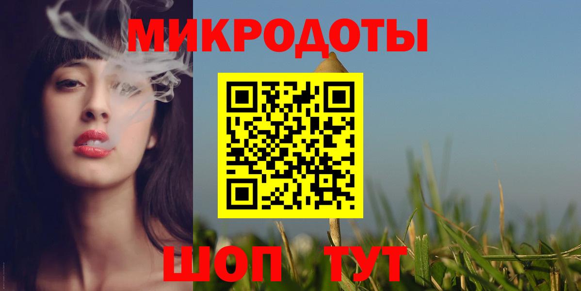 Псилоцибиновые грибы Psilocybe Еманжелинск