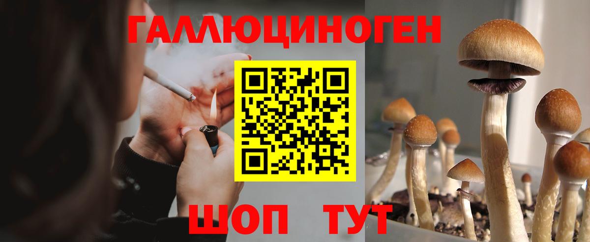 что такое   Вход с VPN  Еманжелинск  Галлюциногенные грибы GOLDEN TEACHER 